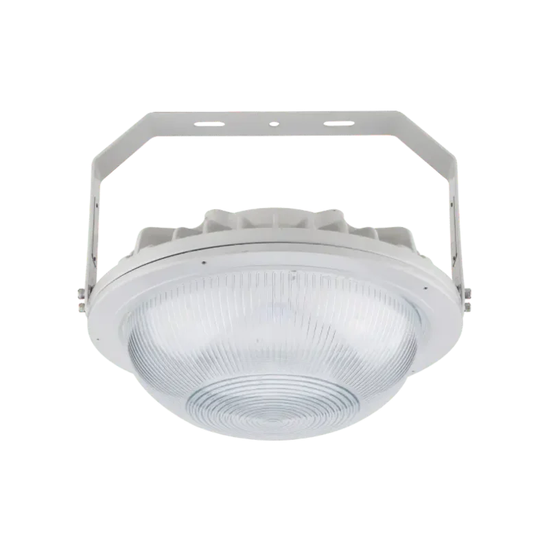 Haza Round R1-2 LED ceiling wall or floor mounted round light hazardous locations